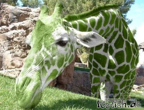 Giraffengrün