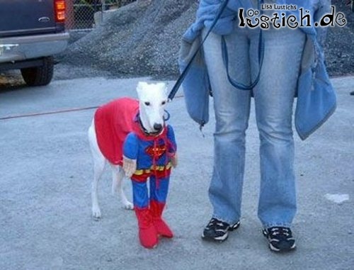 Superhund Superhund