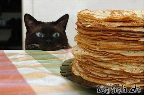 Naschkatze Naschkatze