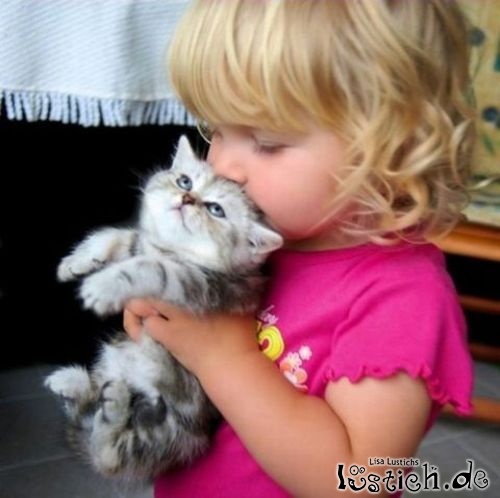 Kind küsst Kätzchen