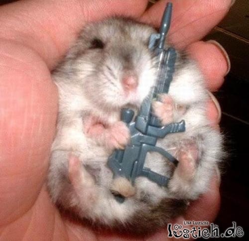 Bewaffneter Hamster