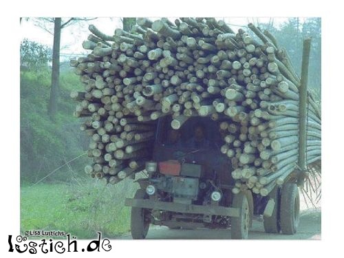 Holztransport in Asien