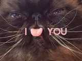 I heart you