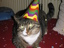 Silvester Kater Silvester Kater