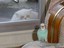 Gierige Katze