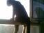 Sitzende Katze