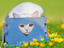 Katze hat ein Herz