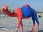 Spiderkamel