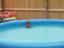 Der Pool als Chilloutzone