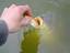 Tolle Tierbilder