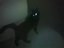 Laser Katze